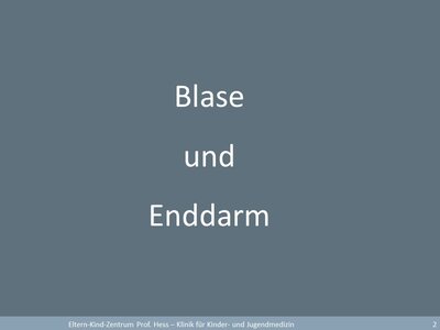 Blase und Enddarm