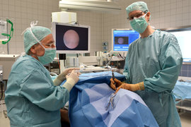 Klinikdirektor Prof. Dr. Andreas Naumann bei einer Speicheldrüsenendoskopie