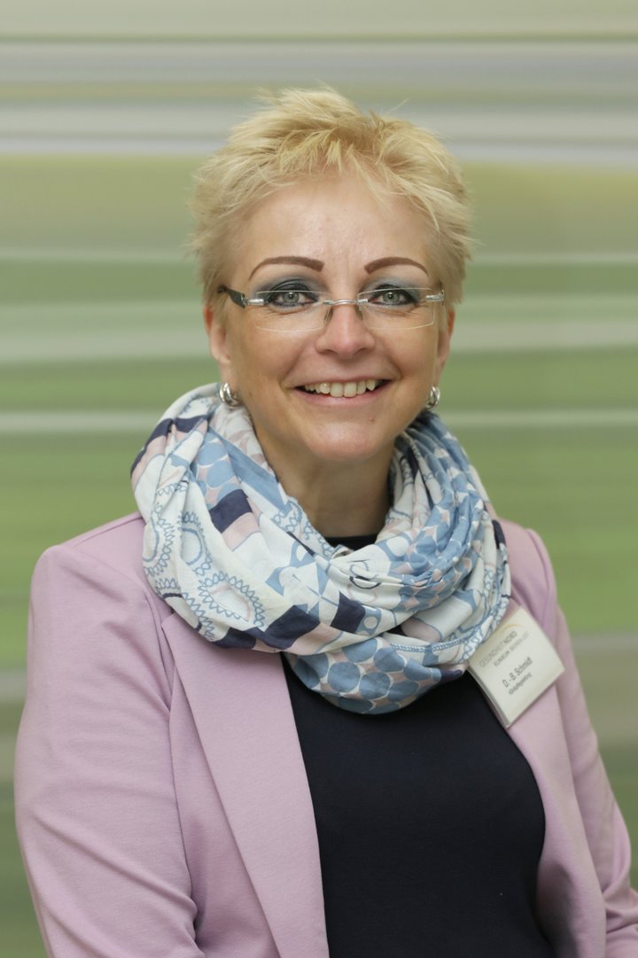 Organigramm Des Klinikums Bremen-Nord – FDEU