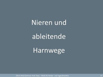 Nieren und ableitende Harnwege