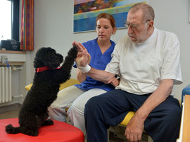 Zwei, die sich richtig gut verstehen: Patient Hans-Frieder Snoek lobt Benjii, den Therapie-Begleithund von Ergotherapeutin Stefanie Walczak.