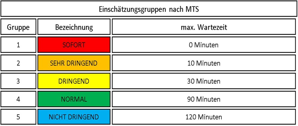 Schematische Darstellung des MTS