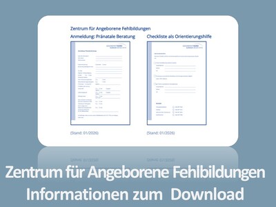 Informationen zum  Download