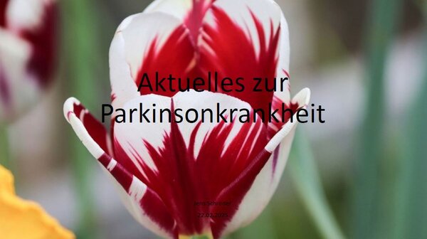 Bild der Blüte einer roten Tulpe mit dem Schriftzug: Aktuelles zur Parkinsonkrankheit Jens Schröder 22.02.2025