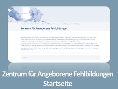 Blau eingefärbtes Foto der Startseite ZFAF