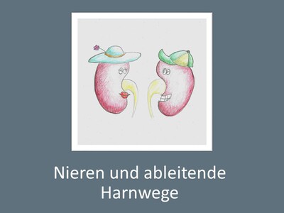 Kinderbild mit dem Schriftzug Nieren und ableitende Harnwege